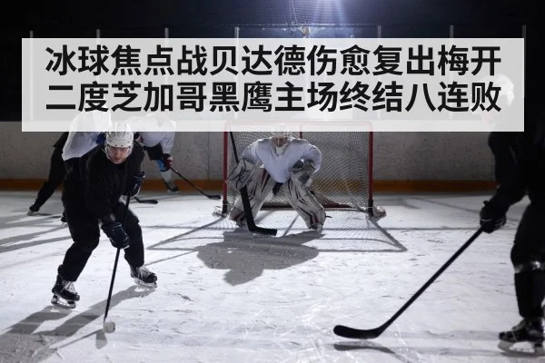 冰球焦点战贝达德伤愈复出梅开二度芝加哥黑鹰主场终结八连败